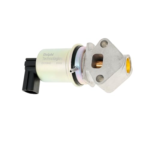Delphi Technologies EG10646-12B1 AGR-Ventil von Delphi