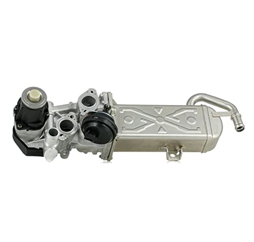 Delphi Technologies EG10472-12B1 AGR-Ventil von Delphi