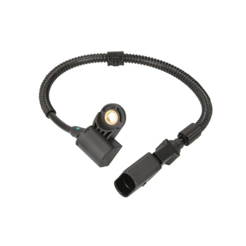 Delphi SS11217 - Sensor, Nockenwellenposition von Delphi