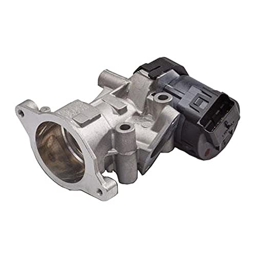 Delphi Technologies EG10404-12B1 AGR-Ventil Delphi Technologies EG10404-12B1 AGR-Ventil von Delphi