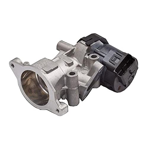 Delphi Technologies EG10411-12B1 AGR-Ventil von Delphi