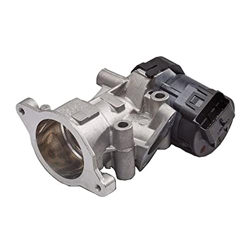 Delphi Technologies EG10419-12B1 AGR-Ventil von Delphi