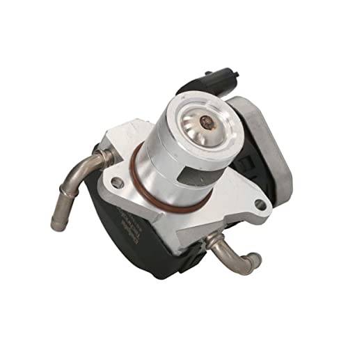Delphi Technologies EG10422-12B1 AGR-Ventil von Delphi
