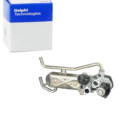 Delphi Technologies EG10432-12B1 AGR-Ventil von Delphi
