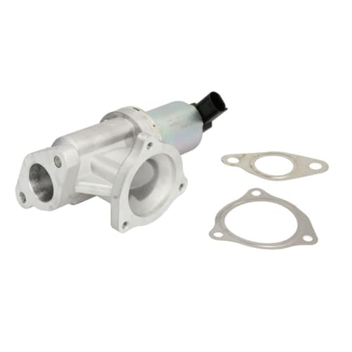Delphi Technologies EG10442-12B1 AGR-Ventil von Delphi