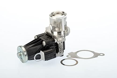 Delphi Technologies EG10443-12B1 AGR-Ventil von Delphi