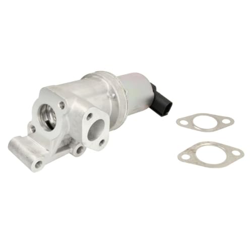 Delphi Technologies EG10475-12B1 AGR-Ventil von Delphi