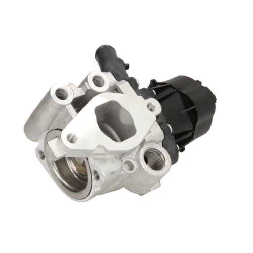 Delphi Technologies EG10482-12B1 AGR-Ventil von Delphi