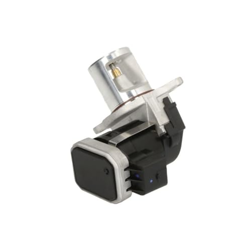 Delphi Technologies EG10485-12B1 AGR-Ventil von Delphi