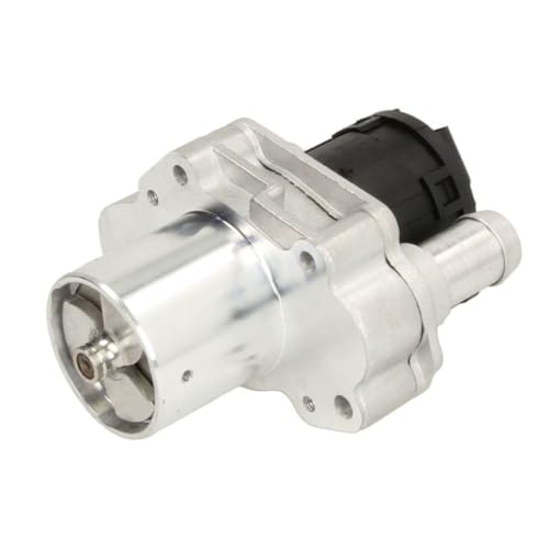 Delphi Technologies EG10486-12B1 AGR-Ventil von Delphi