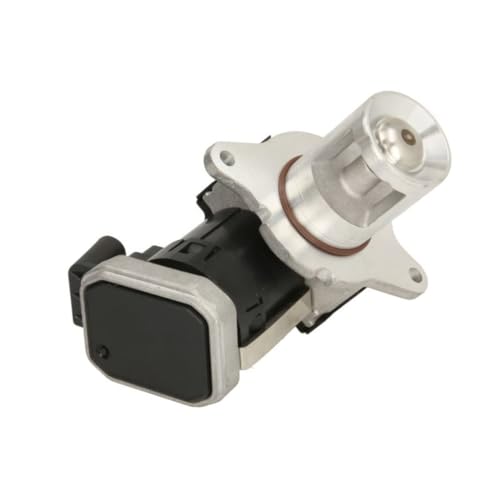 Delphi Technologies EG10487-12B1 AGR-Ventil Delphi Technologies EG10487-12B1 AGR-Ventil von Delphi