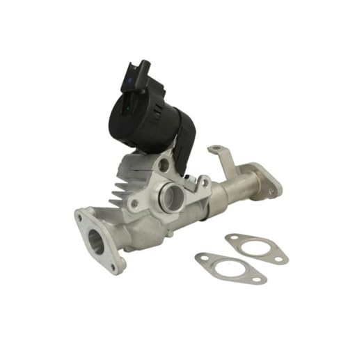 Delphi Technologies EG10488-12B1 AGR-Ventil Delphi Technologies EG10488-12B1 AGR-Ventil von Delphi