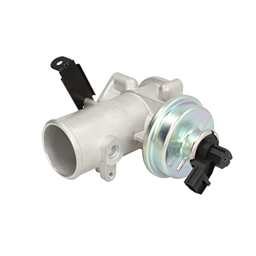 Delphi Technologies EG10492-12B1 AGR-Ventil von Delphi