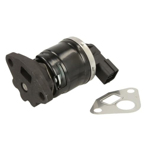 Delphi Technologies EG10505-12B1 AGR-Ventil Delphi Technologies EG10505-12B1 AGR-Ventil von Delphi
