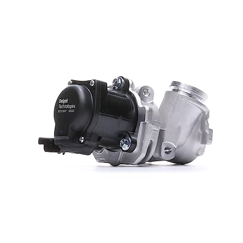 Delphi Technologies EG10507-12B1 AGR-Ventil von Delphi
