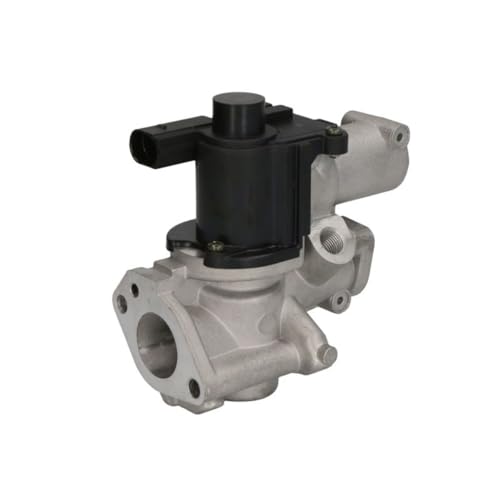 Delphi Technologies EG10509-12B1 AGR-Ventil von Delphi
