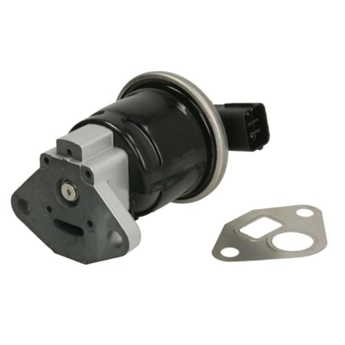 Delphi Technologies EG10519-12B1 AGR-Ventil Delphi Technologies EG10519-12B1 AGR-Ventil von Delphi