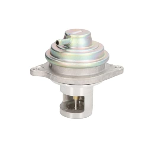 Delphi Technologies EG10525-12B1 AGR-Ventil von Delphi