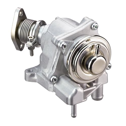 Delphi Technologies EG10527-12B1 AGR-Ventil von Delphi