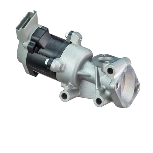 Delphi Technologies EG10529-12B1 AGR-Ventil von Delphi
