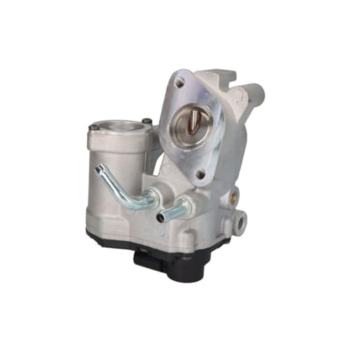 Delphi Technologies EG10540-12B1 AGR-Ventil Delphi Technologies EG10540-12B1 AGR-Ventil von Delphi