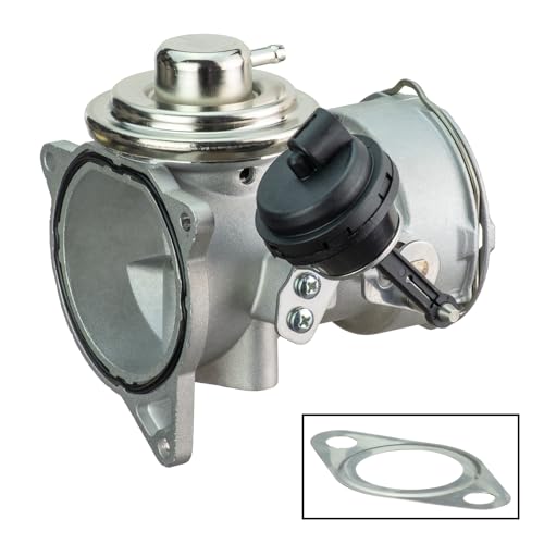 Delphi Technologies EG10544-12B1 AGR-Ventil von Delphi
