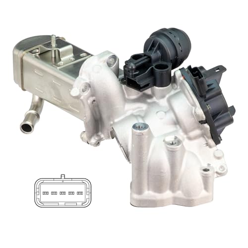 Delphi Technologies EG10549-12B1 AGR-Ventil von Delphi