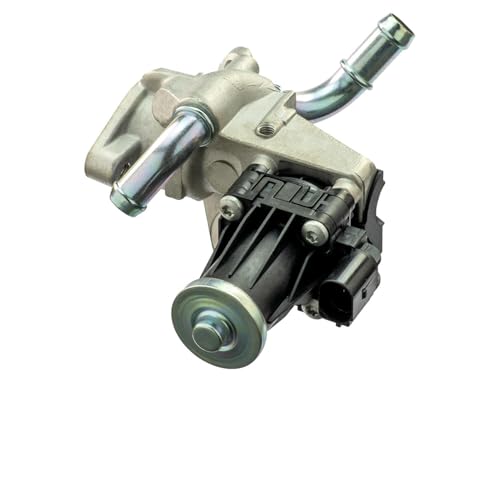 Delphi Technologies EG10551-12B1 AGR-Ventil von Delphi