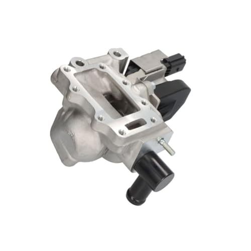 Delphi Technologies EG10579-12B1 AGR-Ventil von Delphi