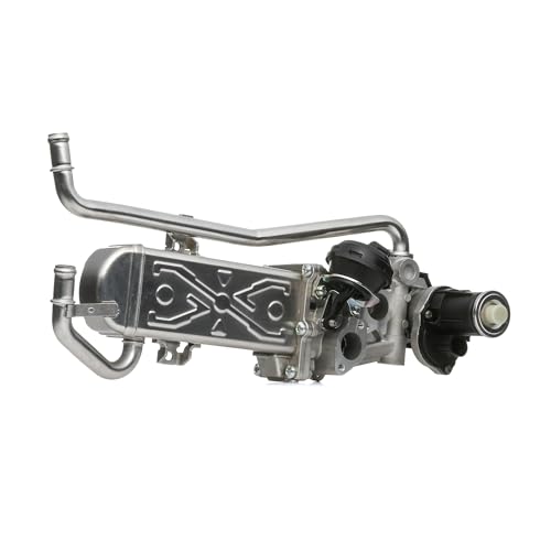 Delphi Technologies EG10589-12B1 AGR-Ventil von Delphi