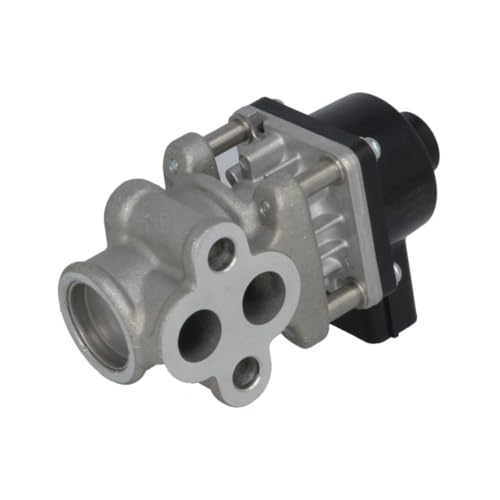 Delphi Technologies EG10611-12B1 AGR-Ventil von Delphi