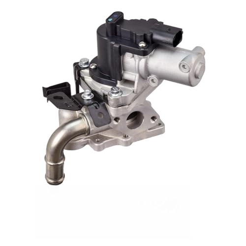 Delphi Technologies EG10613-12B1 AGR-Ventil von Delphi