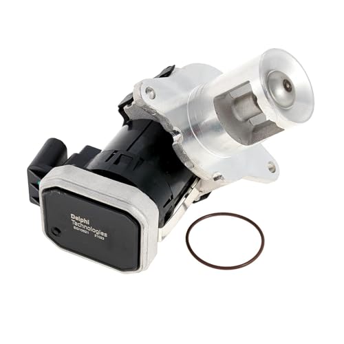 Delphi Technologies EG10621-12B1 AGR-Ventil von Delphi