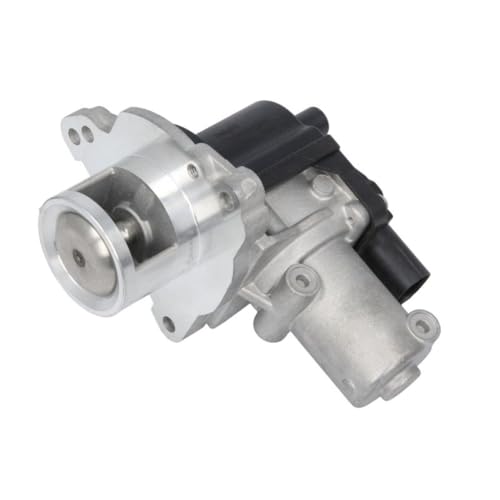 Delphi Technologies EG10622-12B1 AGR-Ventil von Delphi
