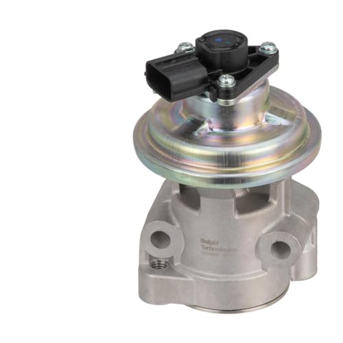Delphi Technologies EG10628-12B1 AGR-Ventil von Delphi