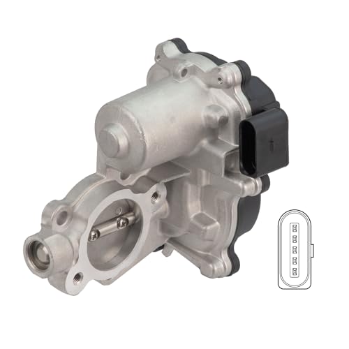Delphi Technologies EG10630-12B1 AGR-Ventil von Delphi