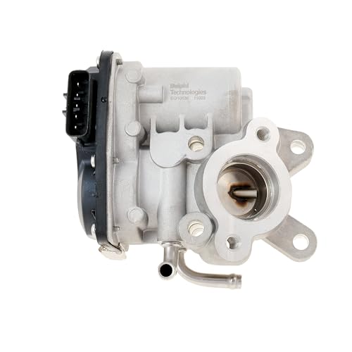 Delphi Technologies EG10636-12B1 AGR-Ventil von Delphi