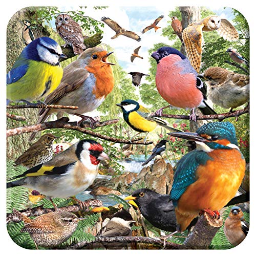 3D LiveLife Kork Matte - Zuhause der Natur von Deluxebase. Linsenförmige-3D-Kork Vogel Untersetzer. rutschfeste Getränkematte mit Originalkunstwerk lizenziert vom bekannt Künstler David Penfound 3D LiveLife Kork Matte - Zuhause der Natur von Deluxebase. Linsenförmige-3D-Kork Vogel Untersetzer. rutschfeste Getränkematte mit Originalkunstwerk lizenziert vom bekannt Künstler David Penfound von Deluxebase