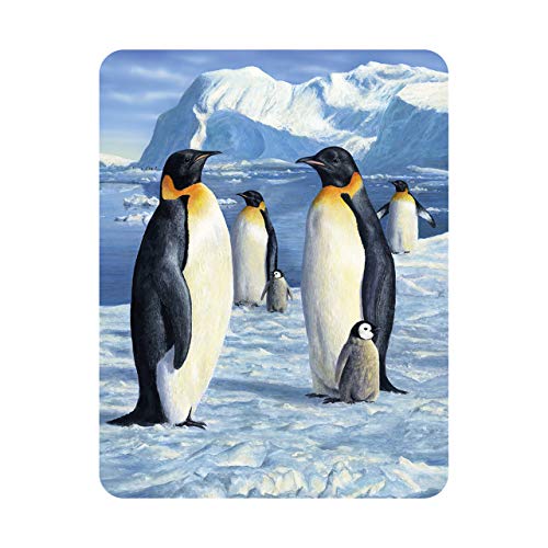 3D LiveLife Magnet - Antarktik Majestät von Deluxebase. Linsenförmige 3D Pinguin Kühlschrankmagnet. Dekoration für Kinder und Erwachsene mit Kunstwerk lizenziert von bekannt Künstler, Robert Hautman von Deluxebase