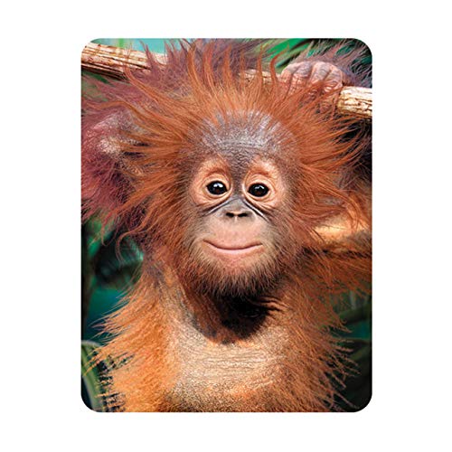 Deluxebase 3D LiveLife Magnet - Baby Orang-Utan Linsenförmige 3D AFFE Kühlschrankmagnet. Dekoration für Kinder und Erwachsene mit Kunstwerk lizenziert von bekannt Künstler, David Penfound von Deluxebase