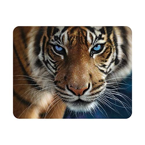 Deluxebase 3D LiveLife Magnet - Blaue Augen Linsenförmige 3D Tiger Kühlschrankmagnet. Dekoration für Kinder und Erwachsene mit Kunstwerk lizenziert von bekannt Künstler, Collin Bogle von Deluxebase