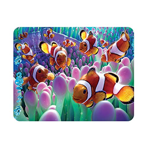 Deluxebase 3D LiveLife Magnet - Clownfisch Linsenförmige 3D Ozean Kühlschrankmagnet. Dekoration für Kinder und Erwachsene mit Kunstwerk lizenziert von bekannt Künstler, David Penfound von Deluxebase