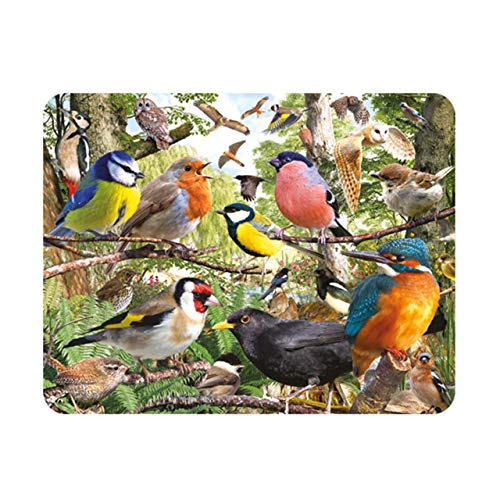 Deluxebase 3D LiveLife Magnet - Das Zuhause der Natur Linsenförmige 3D Vogel Kühlschrankmagnet. Dekoration für Kinder und Erwachsene mit Kunstwerk lizenziert von bekannt Künstler, David Penfound von Deluxebase