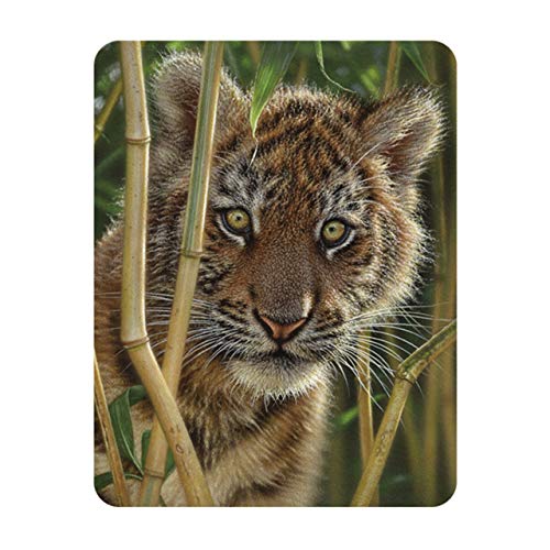 Deluxebase 3D LiveLife Magnet - Entdeckung Linsenförmige 3D Tiger Kühlschrankmagnet. Dekoration für Kinder und Erwachsene mit Kunstwerk lizenziert von bekannt Künstler, Collin Bogle von Deluxebase