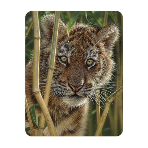 Deluxebase 3D LiveLife Magnet - Entdeckung Linsenförmige 3D Tiger Kühlschrankmagnet. Dekoration für Kinder und Erwachsene mit Kunstwerk lizenziert von bekannt Künstler, Collin Bogle von 3D LiveLife