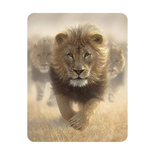 Deluxebase 3D LiveLife Magnet - Fress Meinen Staub Linsenförmige 3D Löwe Kühlschrankmagnet. Dekoration für Kinder und Erwachsene mit Kunstwerk lizenziert von bekannt Künstler, Collin Bogle Deluxebase 3D LiveLife Magnet - Fress Meinen Staub Linsenförmige 3D Löwe Kühlschrankmagnet. Dekoration für Kinder und Erwachsene mit Kunstwerk lizenziert von bekannt Künstler, Collin Bogle von Deluxebase