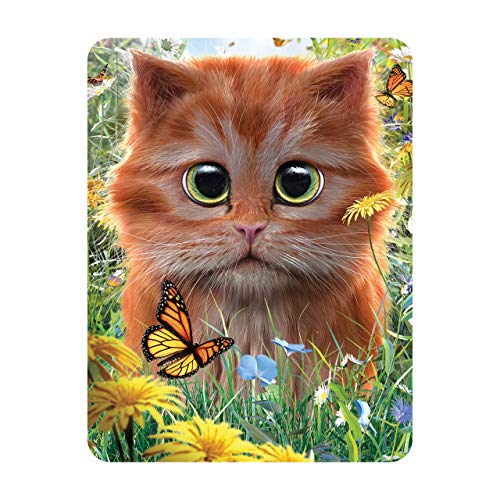 Deluxebase 3D LiveLife Magnet - Ingwer Kätzchen Linsenförmige 3D Katze Kühlschrankmagnet. Dekoration für Kinder und Erwachsene mit Kunstwerk lizenziert von bekannt Künstler, David Penfound von Deluxebase