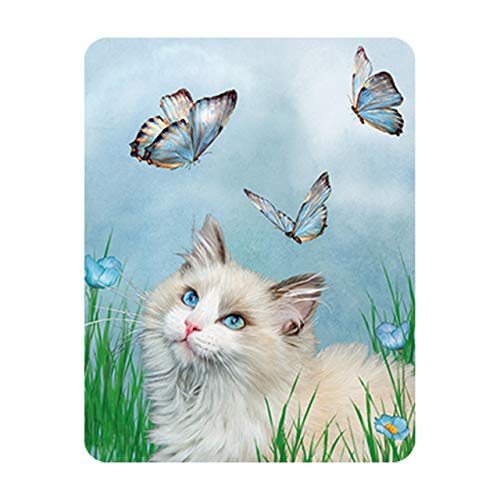 Deluxebase 3D LiveLife Magnet - Katze&Schmetterling Linsenförmige 3D Katze Kühlschrankmagnet. Dekoration für Kinder und Erwachsene mit Kunstwerk lizenziert von bekannt Künstler, Carol Cavalaris von Deluxebase