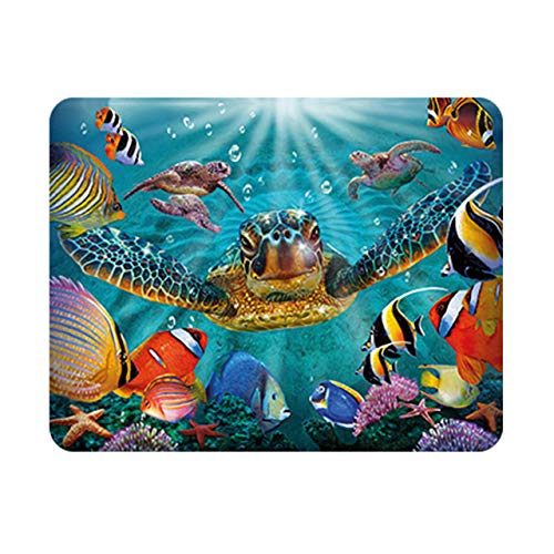 Deluxebase 3D LiveLife Magnet - Kleine Blasen Linsenförmige 3D Schildkröte Kühlschrankmagnet. Dekoration für Kinder und Erwachsene mit Kunstwerk lizenziert von bekannt Künstler, Steve Sundram von Deluxebase