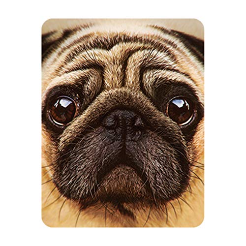 Deluxebase 3D LiveLife Magnet - Mops Linsenförmige 3D Hund Kühlschrankmagnet. Dekoration für Kinder und Erwachsene mit Kunstwerk lizenziert von bekannt Künstler, David Penfound von Deluxebase